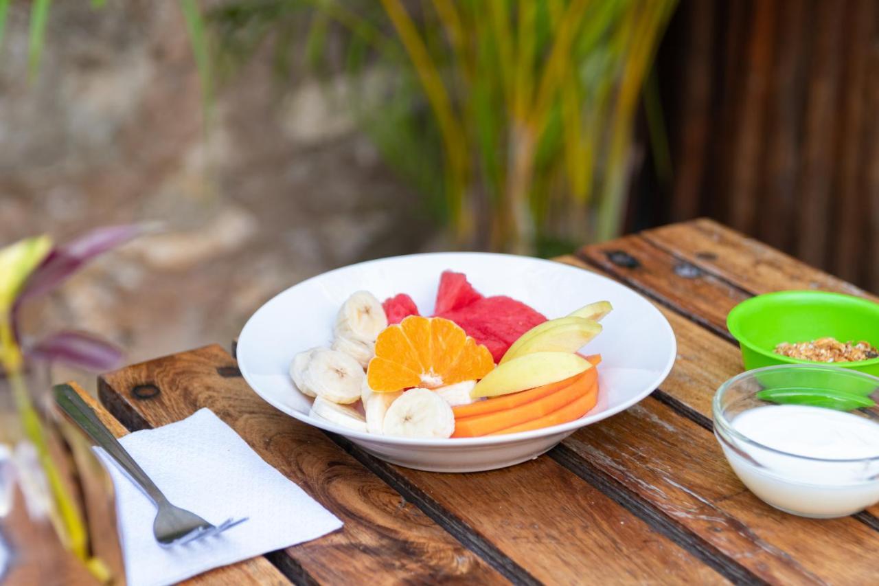 Chill Inn Hostel 图卢姆 外观 照片