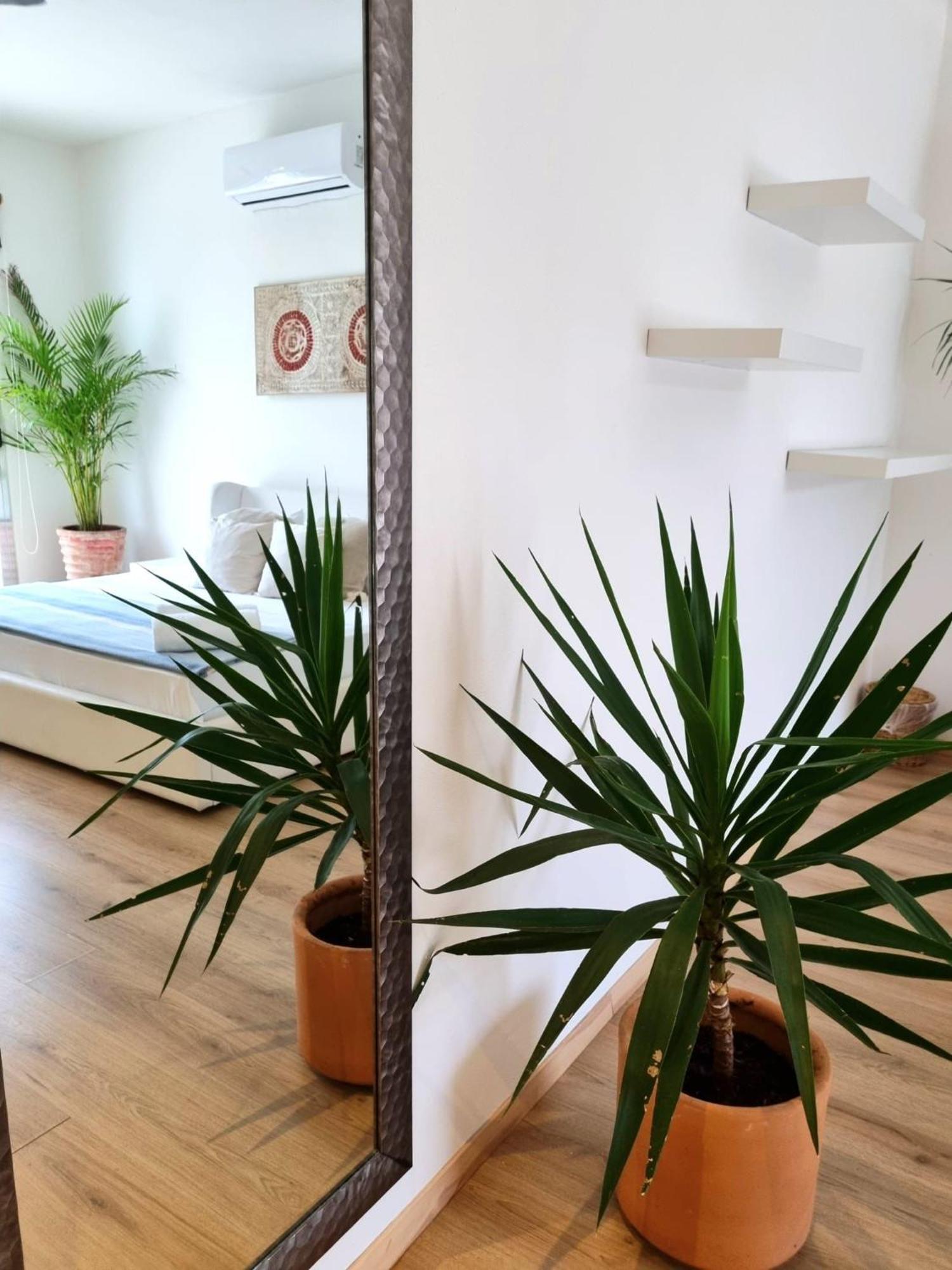 Chill Inn Hostel 图卢姆 外观 照片