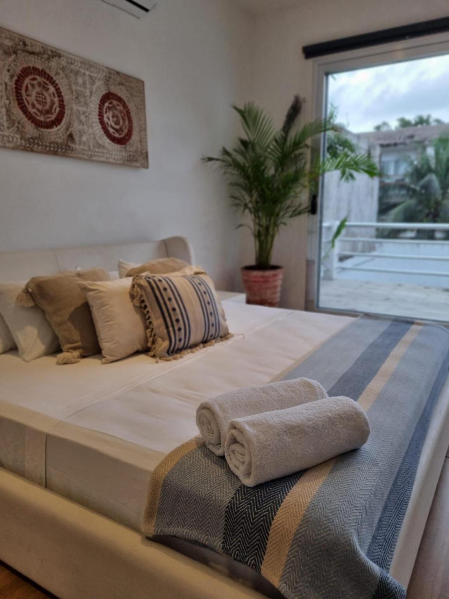 Chill Inn Hostel 图卢姆 外观 照片